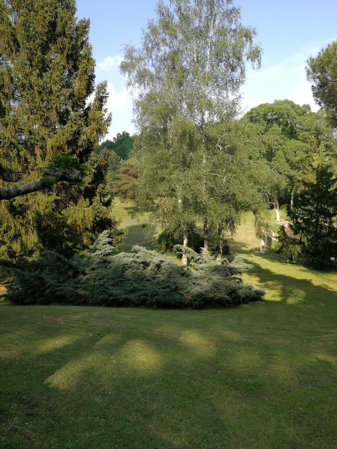 Le Jardin D Eau Hotel Lamothe-Montravel Luaran gambar